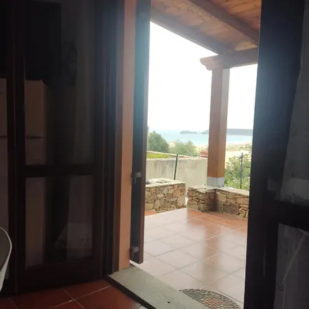 Poppy's House توري دي كورساري