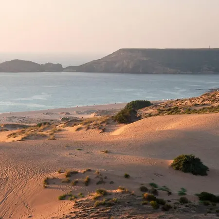 Poppy's House * 토레 데이 코르사리